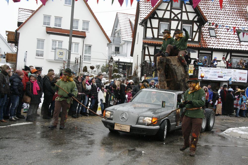 Narren-Umzug in Würtingen