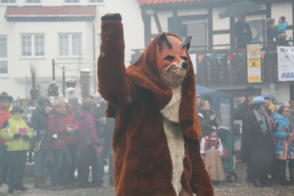 Narren-Umzug in Würtingen