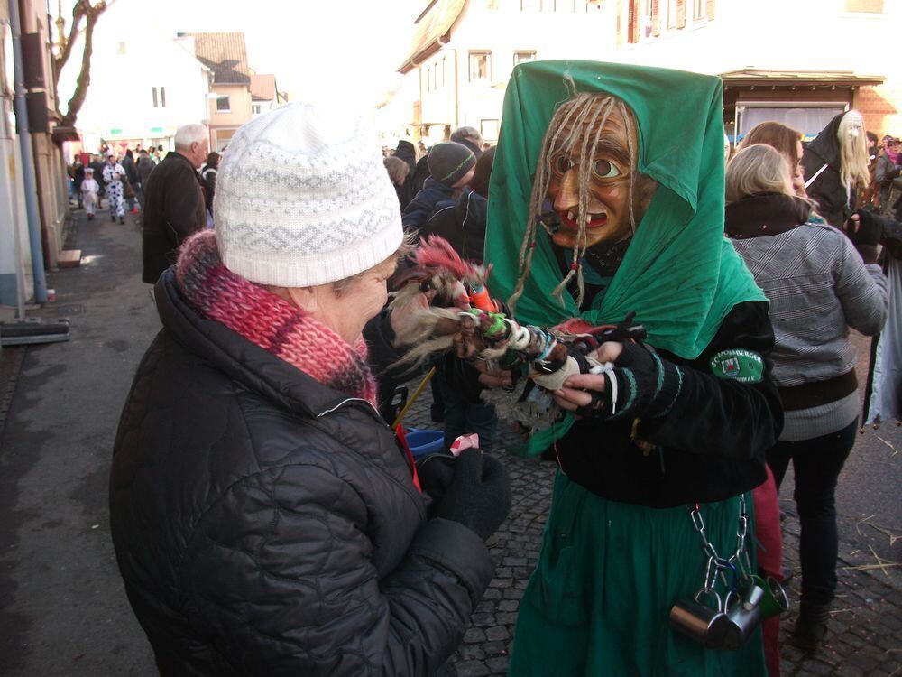 Narrenumzug Wilde Weiber Wannweil 2015