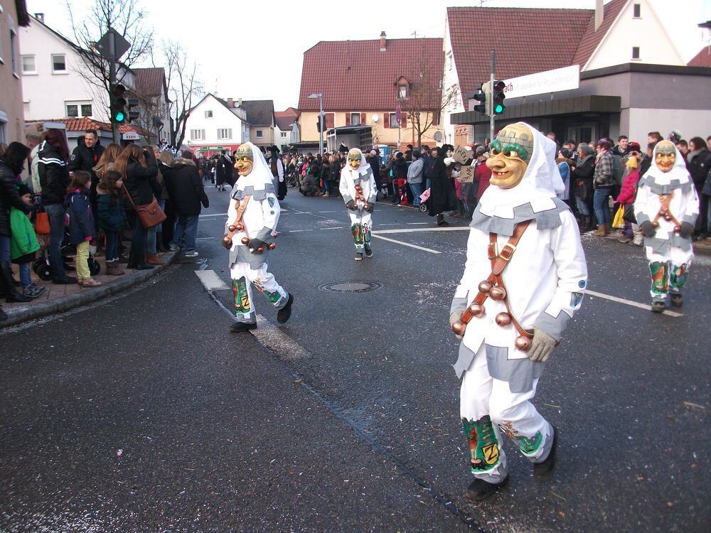 Narrenumzug Wilde Weiber Wannweil 2015