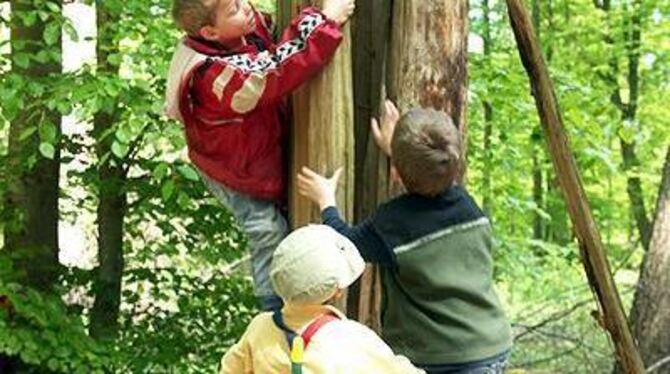 In Metzingen ist ein Waldkindergarten im Entstehen. In Tübingen (Foto), Bad Urach und anderen Orten gibt es ein solches Angebot längst.
GEA-ARCHIVFOTO: CONZELMANN