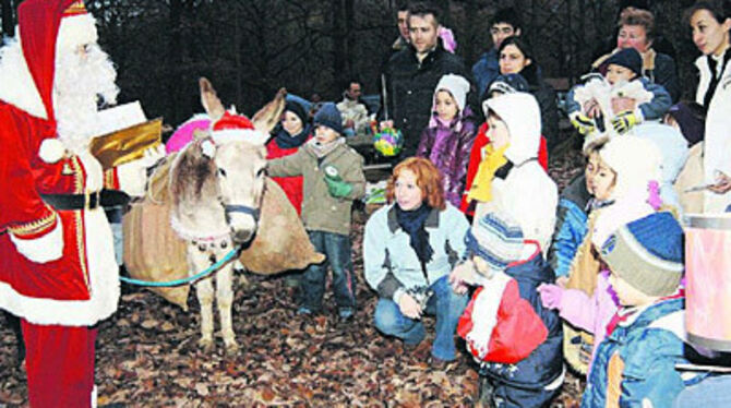 Auf den Esel gekommen: Mit der grauhaarigen Schönheit »Pythia« stapft der Weihnachtsmann alias Nikolaos Kagioglidis auch durch den Wasenwald. Am vergangenen Wochenende beglückte er hier Mädchen und Buben der Kindertagesstätte Römerschanz.
FOTO: NIETHAMMER