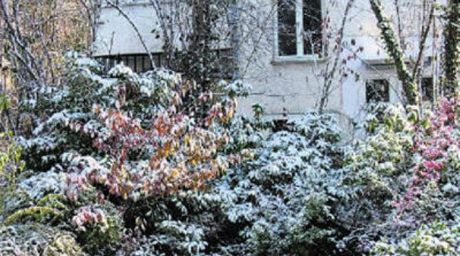 Wer das Schneiden von Sträuchern und Bäumen aufs Frühjahr verschiebt, tut der Natur einen Gefallen. In diesem Garten finden Vögel auch bei Schnee Nahrung.
GEA-FOTO: WALTER