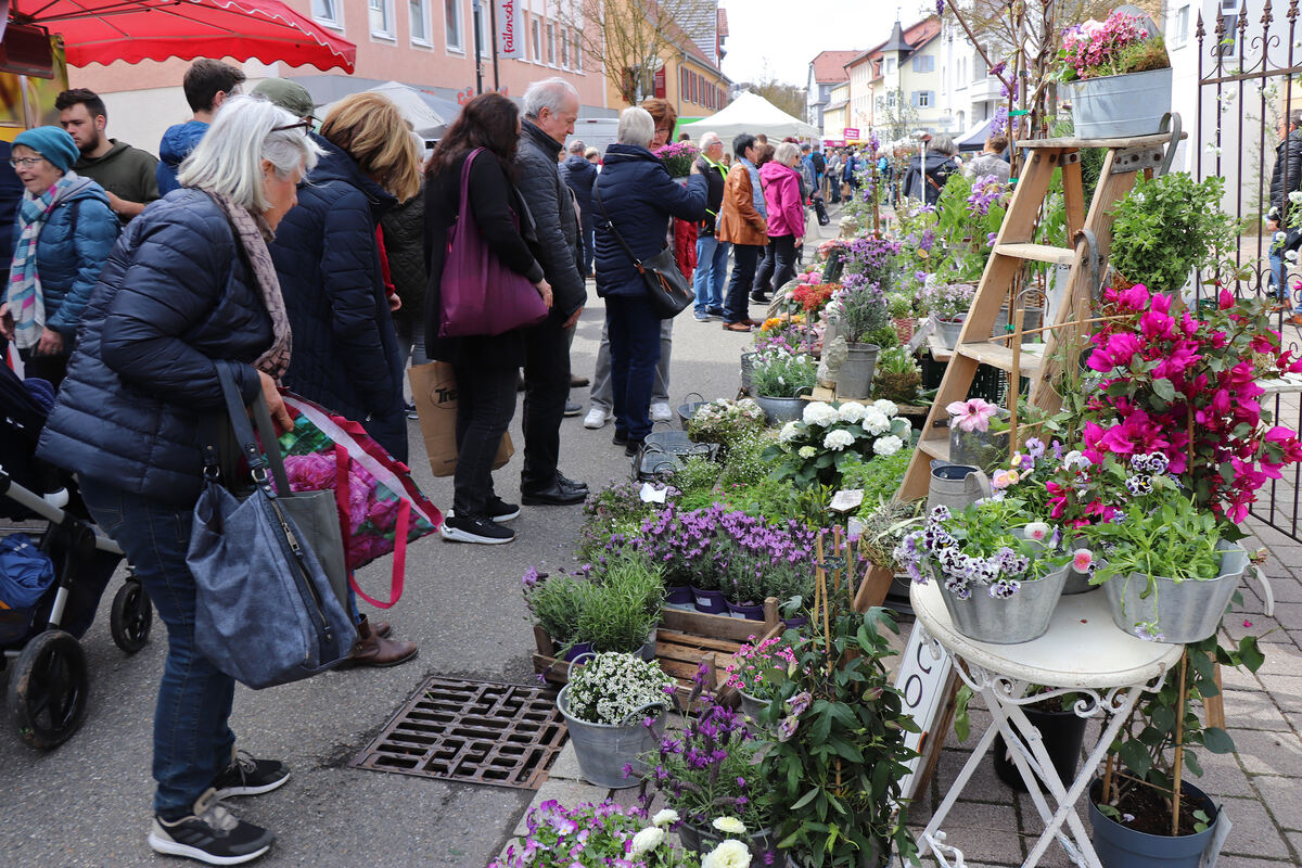 Kunst- und Gartenmarkt Münsingen 024