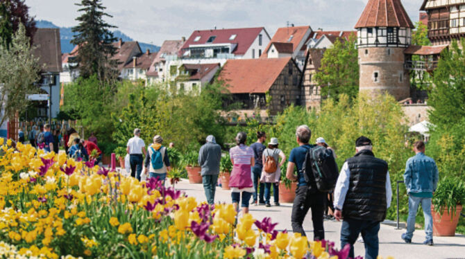 Die Gartenschau in Balingen kann nach dem schweren Unwetter am Wochenende wieder besucht werden.