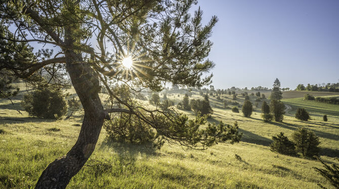 Sonnenaufgang auf dem Digelfeld bei Hayingen.  FOTO: STEINHÄUSSER