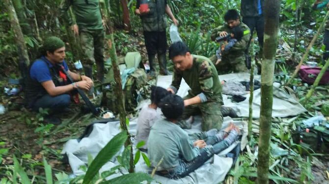 Kinder nach Flugzeugabsturz im Regenwald lebend gefunden