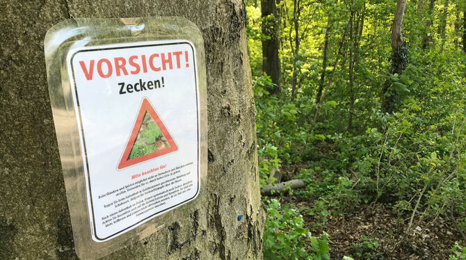 Vorsicht vor Zeckenbissen ist im ganzen Land geboten.  FOTO: STRATENSCHULTE/DPA