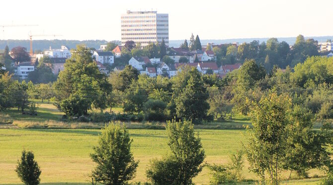 Die Familien Staiger und Lihs fürchten um die gemeindeeigenen Wiesen am Rahnberg, die sie seit 60 Jahren in Pacht extensiv bewir