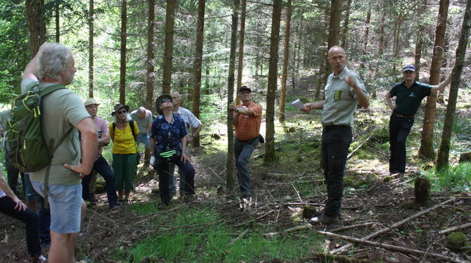 Förster Reinhold Gerster führt eine Gruppe durch den Wald. ARCHIVFOTO: STURM