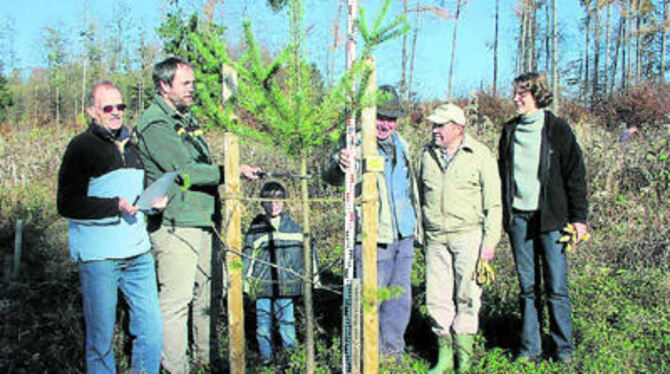 Der »Bürgerwald« ist gut in Schuss. Davon machten sich am Wochenende etliche Bürger ein Bild. Darunter Bürgermeisterin Silke Höflinger (ganz rechts) sowie Alt-Bürgermeister Otto Bauer und Revierleiter Thomas Vorwerk.
FOTO: MÜLLER