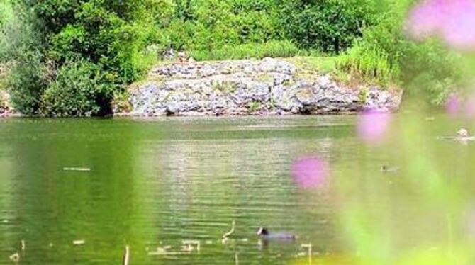 Unabhängig vom Bodensee: Aus Quellen im Gebiet der Gönninger Seen (Bild) bezieht Gomaringen sein Trinkwasser.
GEA-ARCHIVFOTO: GER