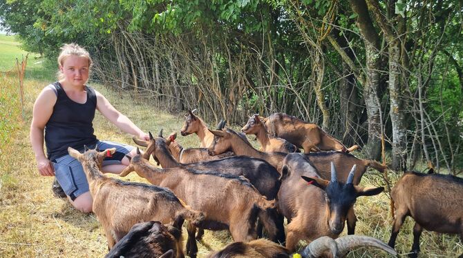 Judith Gerster hält auf ihrem Hof Ziegen der Rasse französische Alpine und macht Käse aus deren Milch.  FOTO: SCHRADE