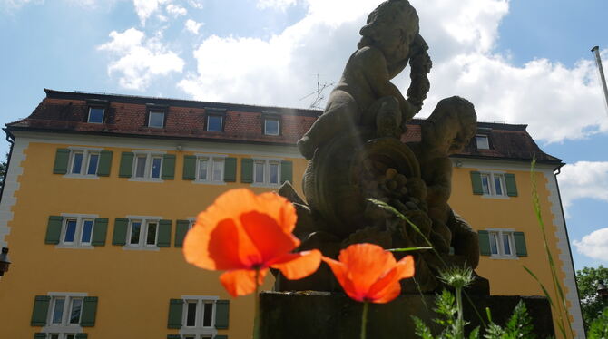 Das Schloss Graf-eneck soll ein  Bildungszentrum  werden.  FOTO: LEISTER