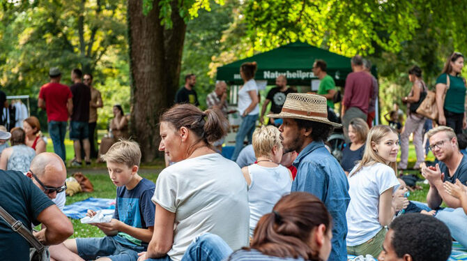 Picknickstimmung herrschte im Sommer 2023 beim Festival »Music 4 Humanity« im Stadtgarten.  ARCHIV-FOTO: VEREIN