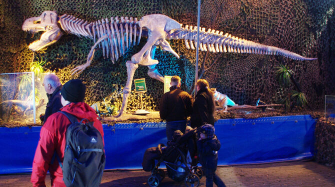 Die Präsentation eines Skeletts unterstreicht den wissenschaftlichen Anspruch der Ausstellung