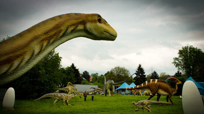 80 verschiedene Giganten der Urzeit warten auf Besucher.