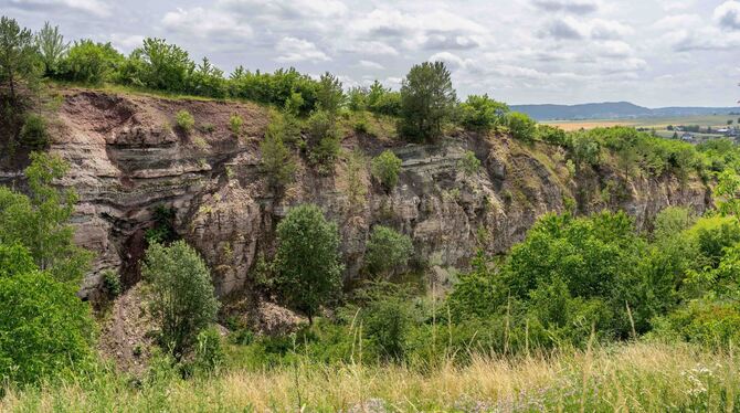 Der Steinbruch ist noch gut zu erkennen. Vor über 50 Jahren wurde im Ammertal bei Entringen im großen Stil Gips abgebaut. Mithil