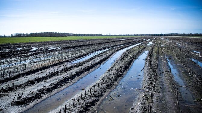 Eine landwirtschaftlich genutzte Hochmoorfläche. Das Europaparlament hat sich für ein umstrittenes EU-Naturschutzgesetz ausgespr