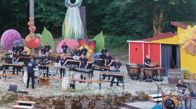 In unterschiedlichen Besetzungen begeisterte das Modern Symphonic Ensemble von Hubert Müllerschön im Naturtheater Hayingen.  FO