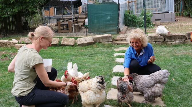 Glückliche Hühner: Simone Weber und Beate Müller-Gemmeke (rechts) mit den geretteten Tieren. FOTO: BIMEK