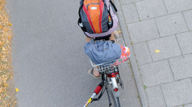 Immer mehr Menschen im Landkreis machen beim Stadtradeln mit. FOTO: HASE/DPA-TMN