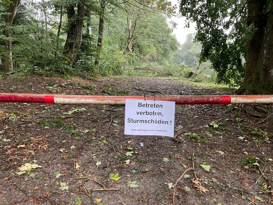 Ferienlager Unwetter4 FOTO Meyer