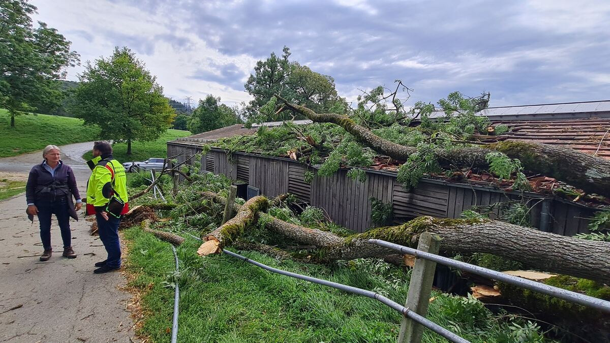 Sturm Marbach1