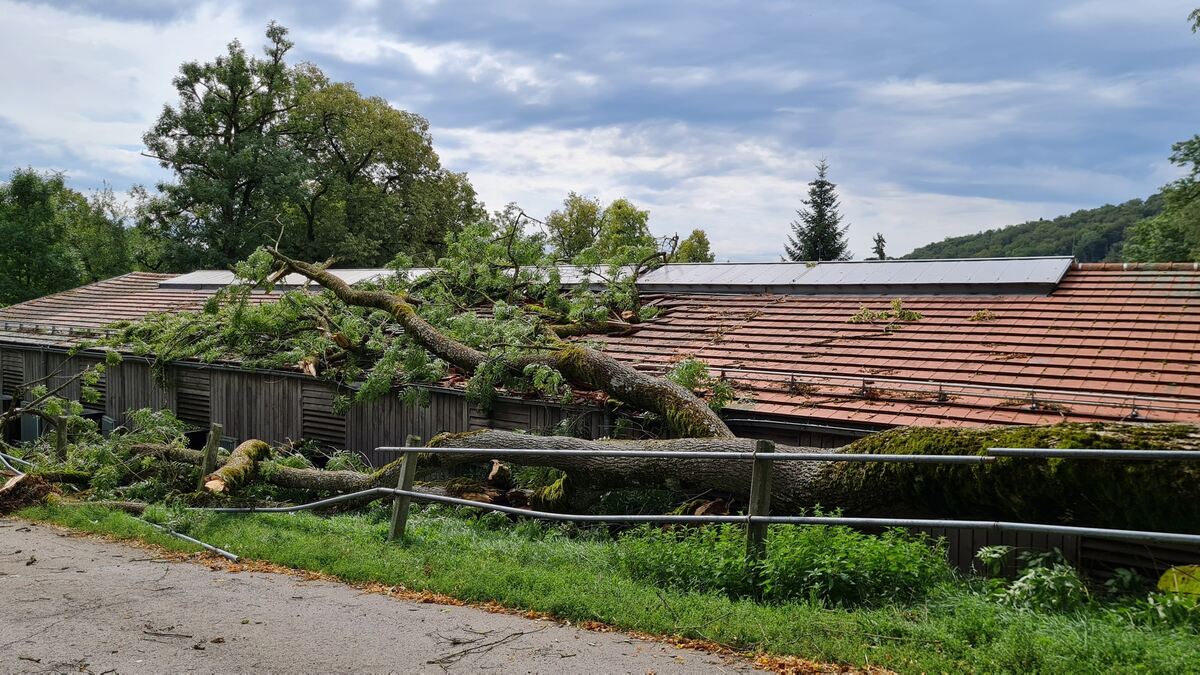 Sturm Marbach2