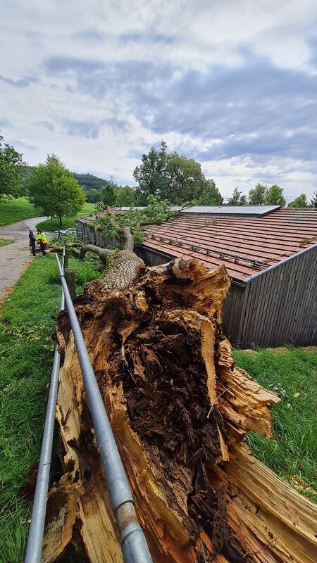 Sturm Marbach3