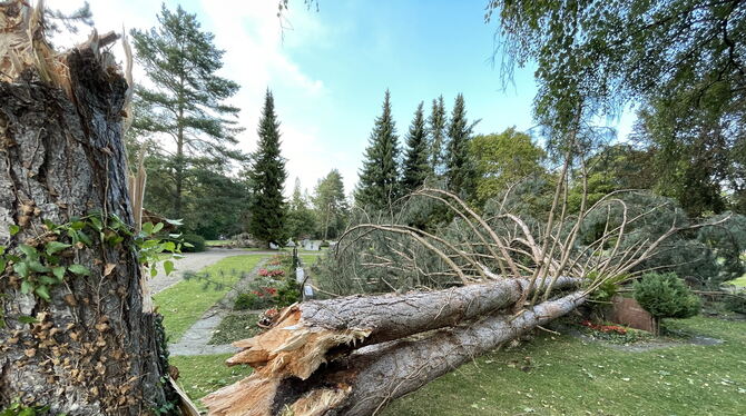 Auch hier hat der Sturm gewütet: Gräber auf dem Mössinger Friedhof sind von Sturmholz bedeckt und beschädigt.  FOTO: MEYER