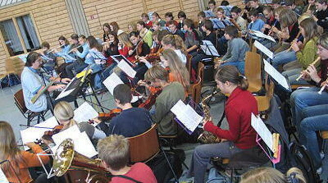 Hundert Mädchen und Jungen bilden in Gomadingen ein großes Orchester: Musiklehrer Steffen Hinger behält den Überblick.
GEA-FOTO: OEL