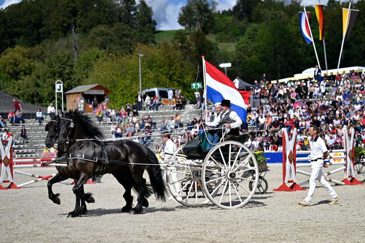 hengstparade_marbach_2023_pieth_20