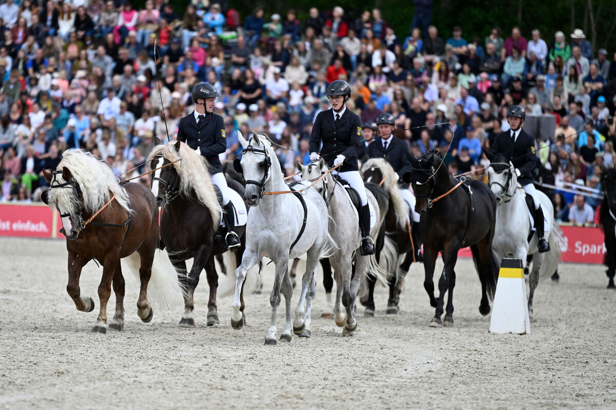 hengstparade_marbach_2023_pieth_29