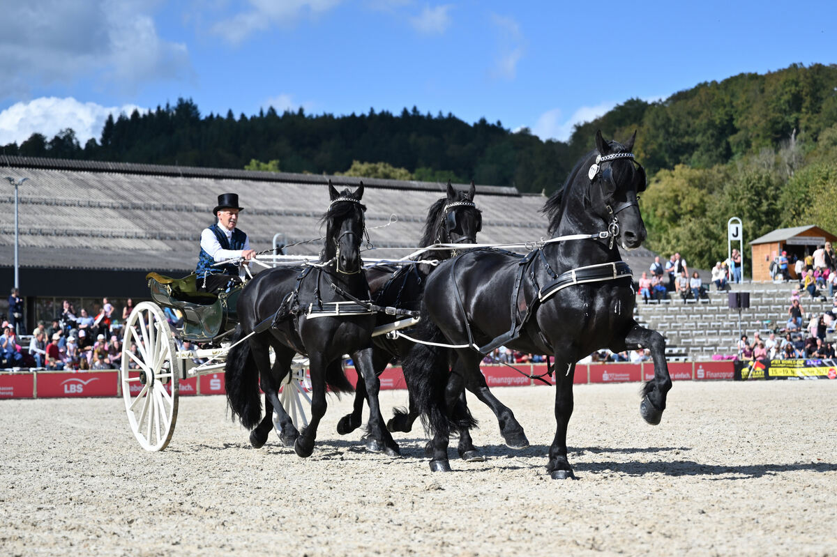 hengstparade_marbach_2023_pieth_67