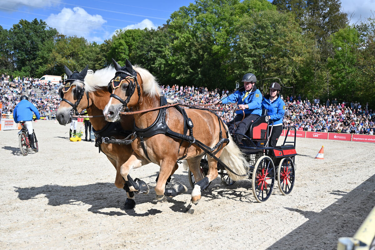 hengstparade_marbach_2023_pieth_73