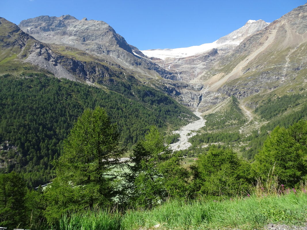 Im Panoramazug durch die Schweizer Bergwelt