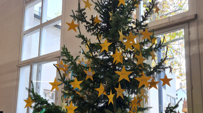 Der Wunschsterne-Baum ist in der Stadtbücherei aufgestellt. Wer einem Kind eine Freude bereiten möchte, kann einen Stern abholen