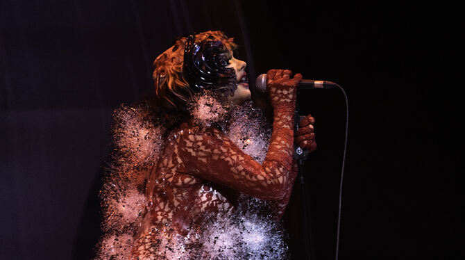 Prinzessin im Blütenkostüm: Björk auf der Bühne der Hamburger Barclays-Arena.