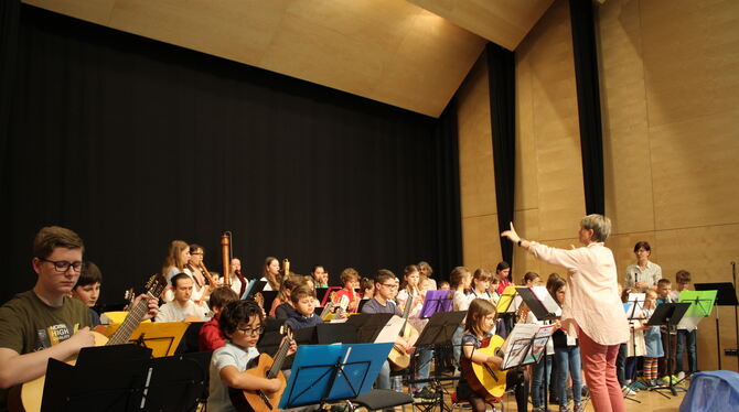 Das Fachbereichskonzert der Musikschule Pliezhausen begeisterte das Publikum in diesem Jahr.
