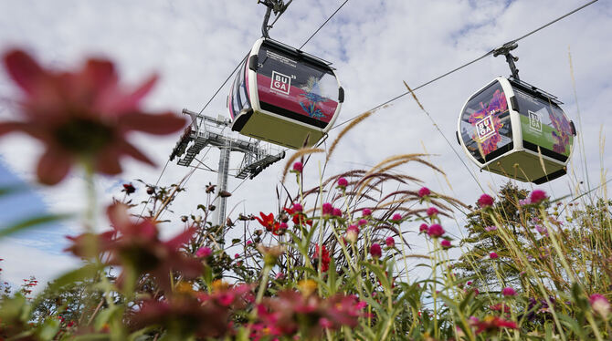 Kabinen der Seilbahn schweben über dem Gelände der Bundesgartenschau in Mannheim 2023.