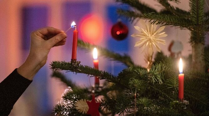 Weihnachtsbaum