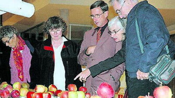 Kantonspräsident Bernard Gaud bestaunt die vom Obst- und Gartenbauverein Belsen zusammengetragene Vielfalt hiesiger Apfelsorten.
FOTO: MEYER