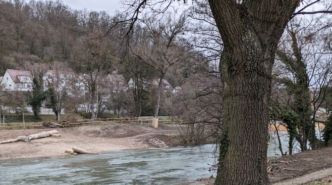 Der Neckar kann sich nun die Natur zurückerobern. Neue Fischarten sollen sich im nun sprudeligeren Gewässer ansiedeln können.