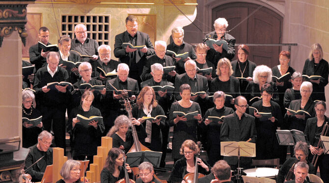 Der Kammerchor der Martinskirche Münsingen eröffnet das Konzertjahr.  FOTO: SPERFELDT