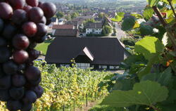 Weinbau und Keltern: Beides gehört zu Metzingen. 