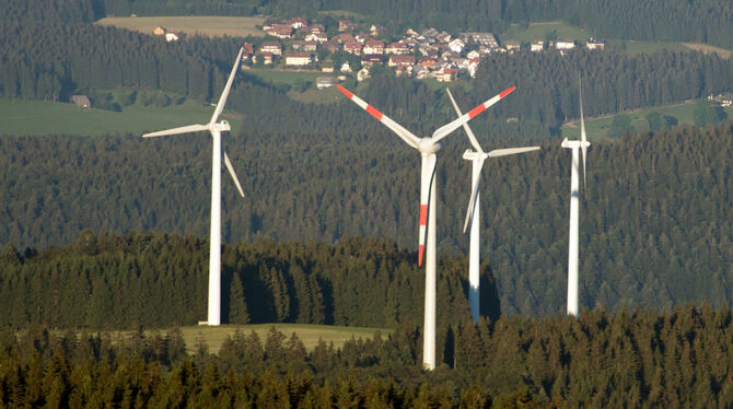 Da es in Baden-Württemberg viel Wald gibt, sollen Windkraft-Rotoren auch dort erbaut werden. Doch die ökologischen Auswirkungen