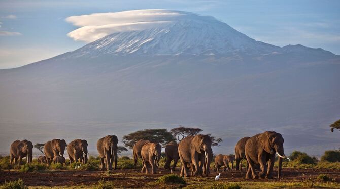 Amboseli-Nationalpark mit dem Kilimandscharo