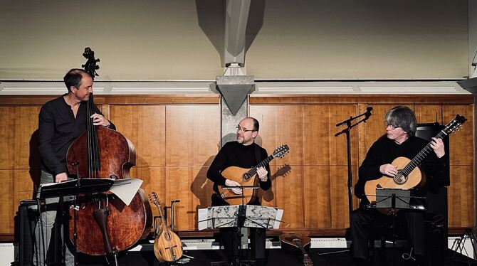 Florian Dohrmann (Kontrabass), Jochen Roß (Mandoline) und Jens-Uwe Popp (Gitarre) gingen im Eninger Rathaussaal auf eine musikal