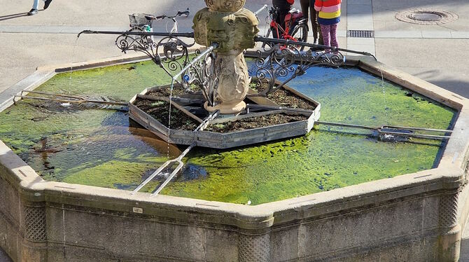 Algen im Maximilianbrunnen: »In keiner anderen vergleichbaren Kommune wird so nachlässig mit historischen Brunnen umgegangen«, b
